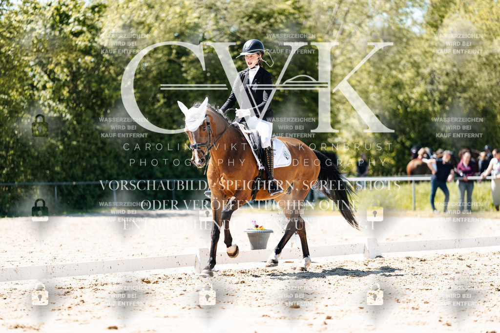 CK905917 | Turnierfotografie Pferdefotografie Trier Rheinland-Pfalz Pferdesport Reitsport Tierfotografie Sportfotografie Pferdevideo Pferdevideografie Equestrianvideography equestrianphotography  - Realisiert mit Pictrs.com