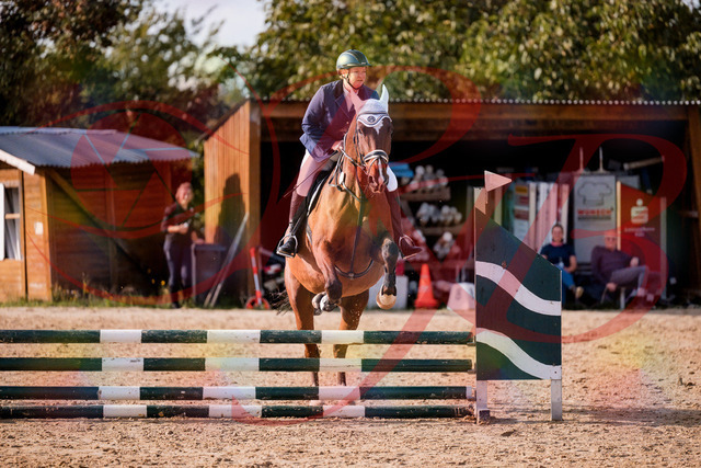 2026_10_03_Siefer-Hof_160637_Z81_88342900 | Professionelle Reitsport-, Turnier- und Eventfotografie von Robert Broda. Galerien mit ausgewählten und bearbeiteten Bildern direkt online ansehen und bestellen.