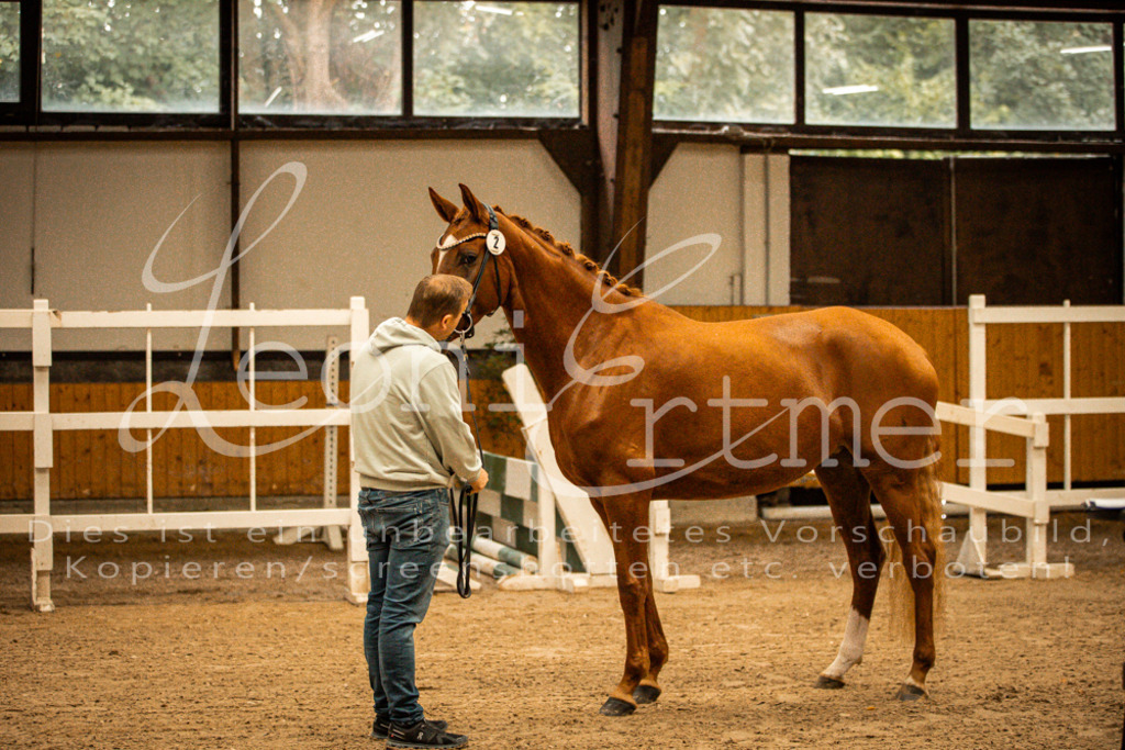 1FS_L00063 | Leoni Ertmer Photography - Realisiert mit Pictrs.com