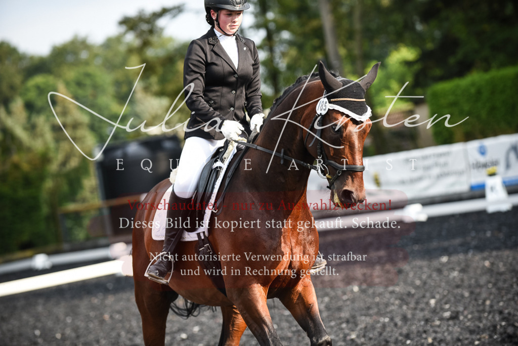 DSC_3345 | Pferde- und Turnierfotografie in Westsachsen. Pferdeportraits, Auftragszeichnungen und intuitive Kunst.