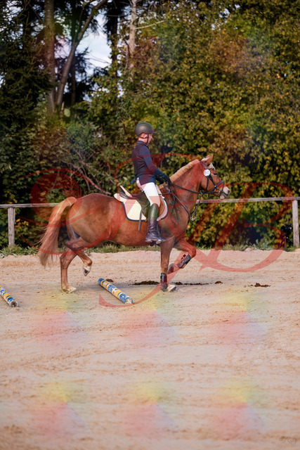 2026_10_03_Siefer-Hof_144625_Z81_22494326 | Professionelle Reitsport-, Turnier- und Eventfotografie von Robert Broda. Galerien mit ausgewählten und bearbeiteten Bildern direkt online ansehen und bestellen.