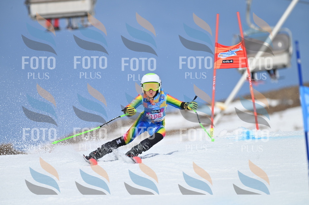 BGV_0835 | holidayphoto