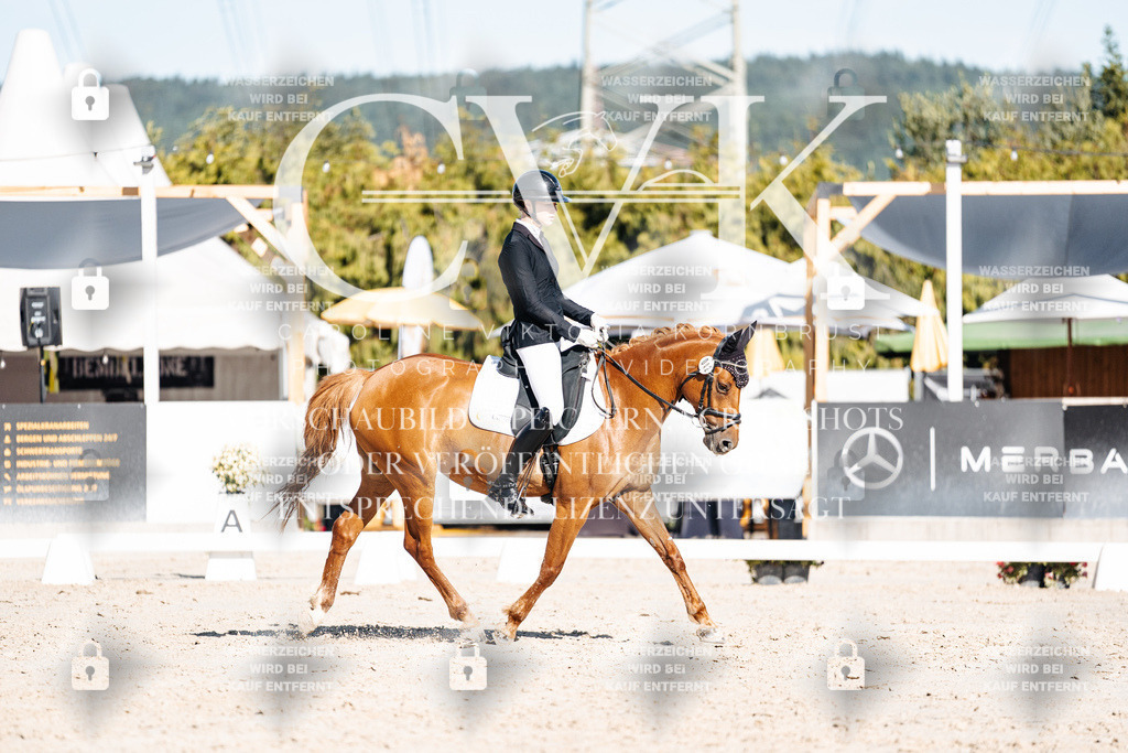 CK907776 | Turnierfotografie Pferdefotografie Trier Rheinland-Pfalz Pferdesport Reitsport Tierfotografie Sportfotografie Pferdevideo Pferdevideografie Equestrianvideography equestrianphotography  - Realisiert mit Pictrs.com