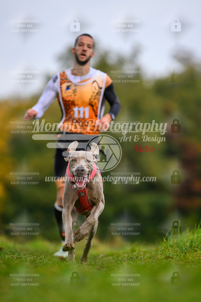 MompixPhotography_CDLBDB2025_DI_CC-21 | PayLife