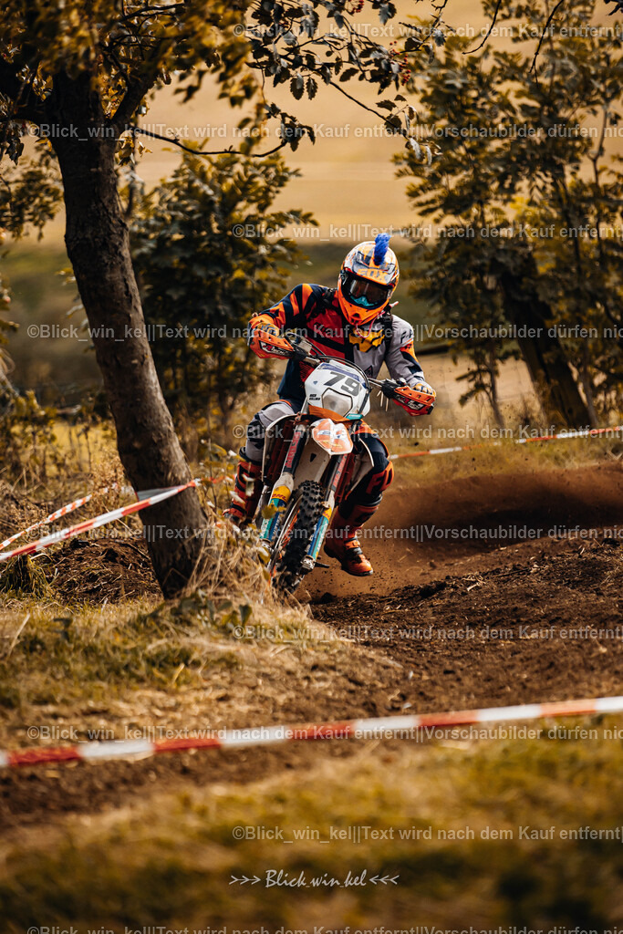 E68A3198 | blick_win_kel