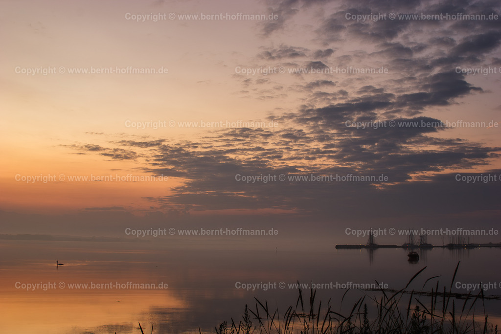 HF_6638mod2_preSunrise_BHwik_60x40 | FOTOGRAFIE. Meerblick - Sommermorgen vor Sonnenaufgang. __ Früh morgens im Sommer. Bucht bei Bockholmwik an der Flensburger Außenförde. Windstille mit Schilfhalmen und dem Blick Richtung Norden. __ Seitenverhältnis = 3 zu 2 - Realisiert mit Pictrs.com