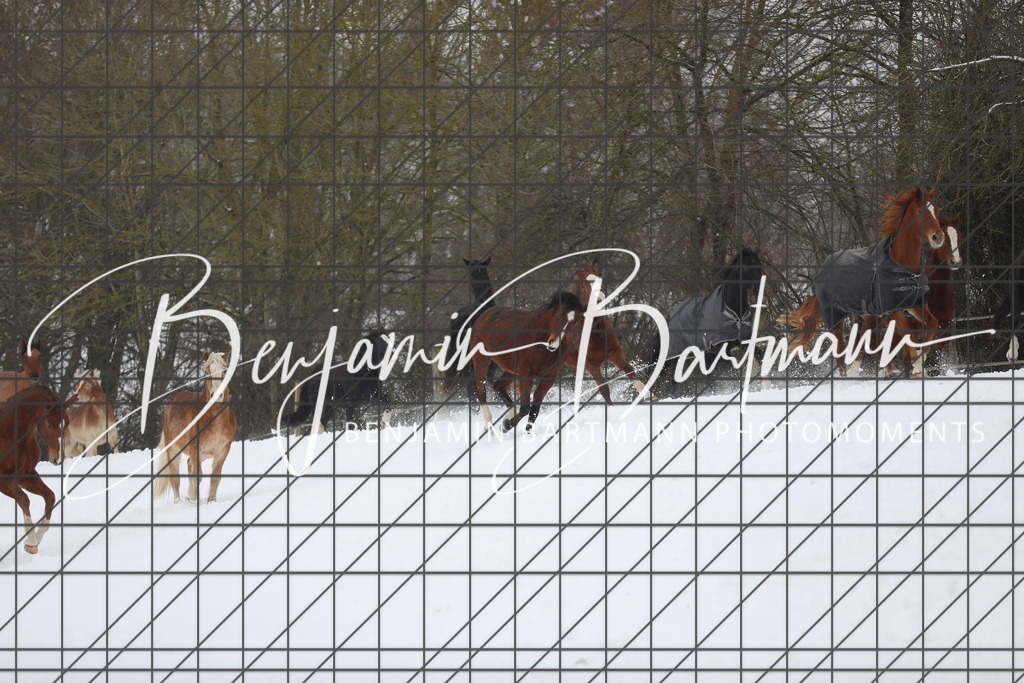 AZ2A3316 | Benjamin Bartmann Photomoments