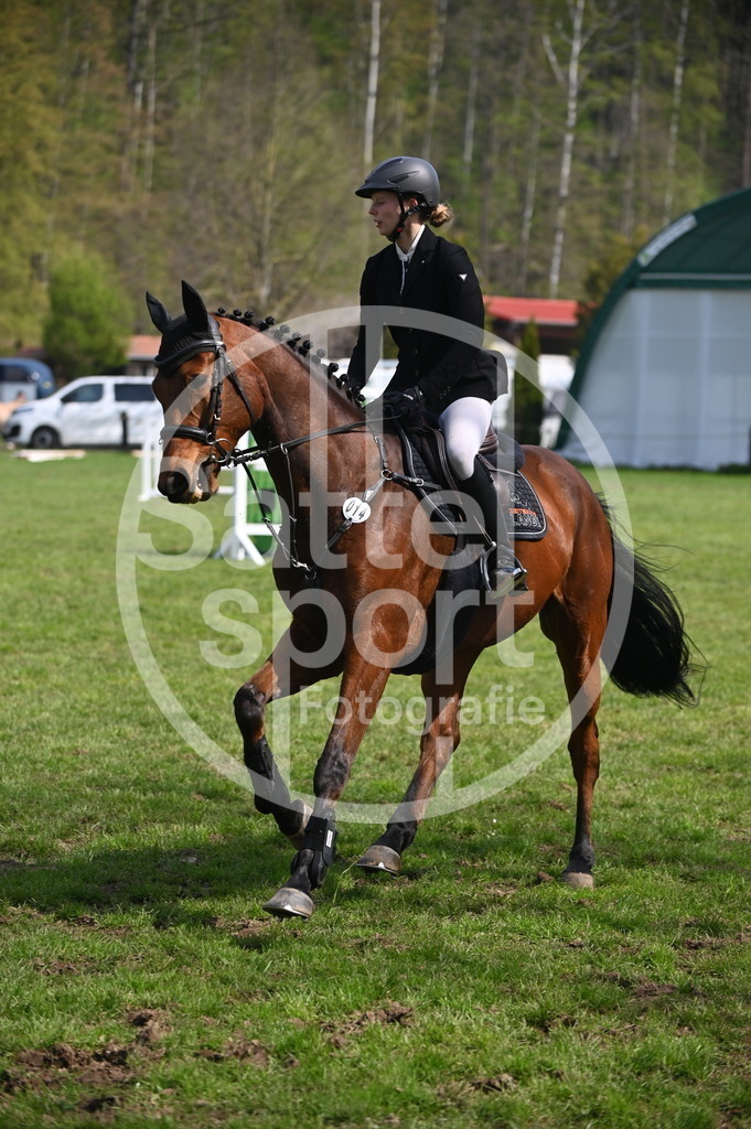 DSC_1300 | sattelsport - Realisiert mit Pictrs.com