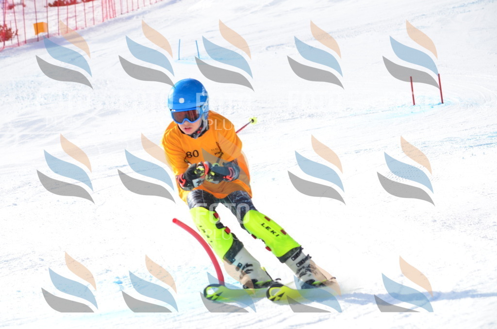 C7991 | holidayphoto