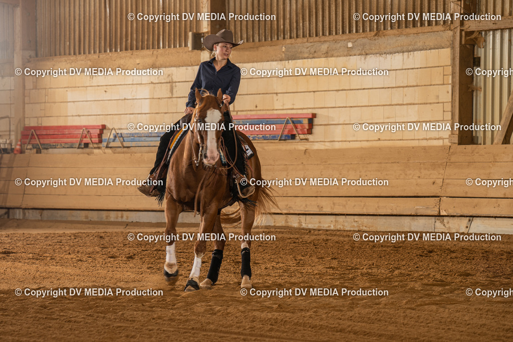 NID01994 | dv-media-shop - Realisiert mit Pictrs.com