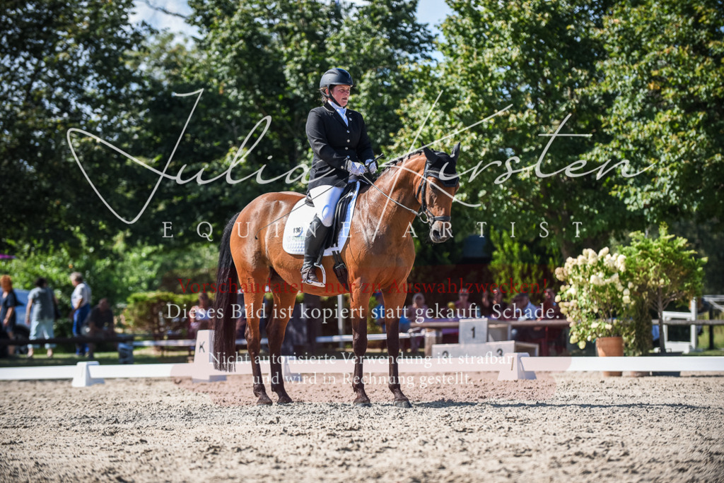 DSC_9622 | Pferde- und Turnierfotografie in Westsachsen. Pferdeportraits, Auftragszeichnungen und intuitive Kunst.
