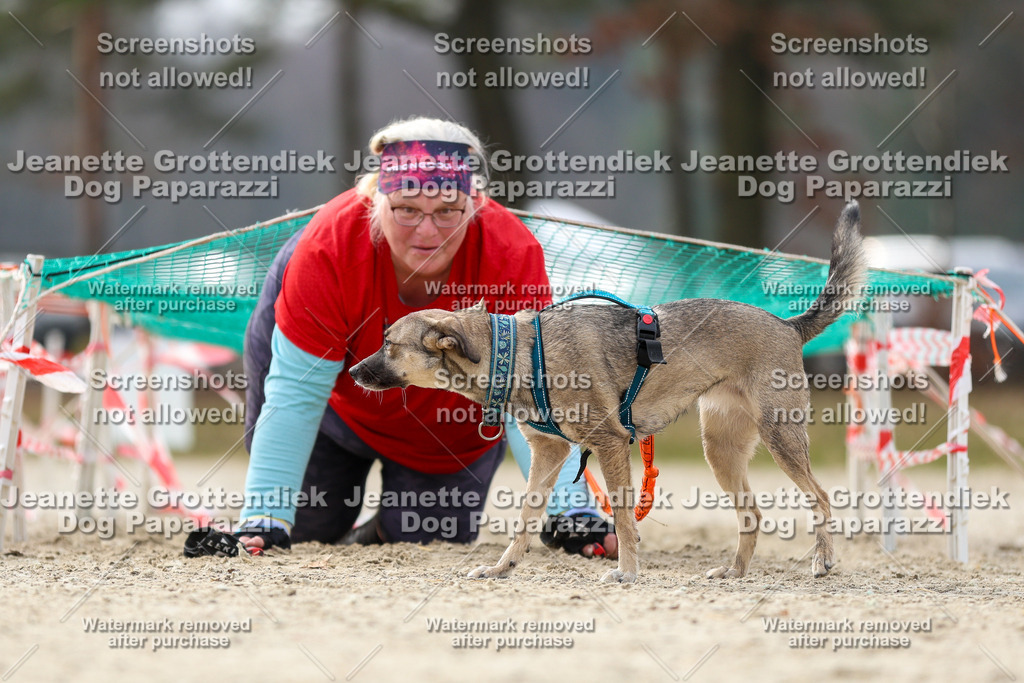 Dog Paparazzi - Strongdog North Mrz26-5504 | Dog Paparazzi Jeanette Grottendiek Fotografie & Videografie - Realisiert mit Pictrs.com