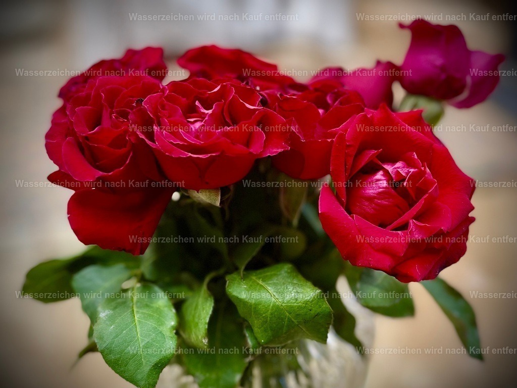 IMG_3392 | heikomoeller - Realisiert mit Pictrs.com