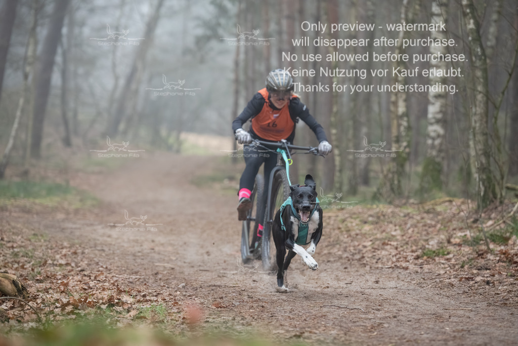 Scooter1-64 | stephaniefillaphotographie - Realisiert mit Pictrs.com