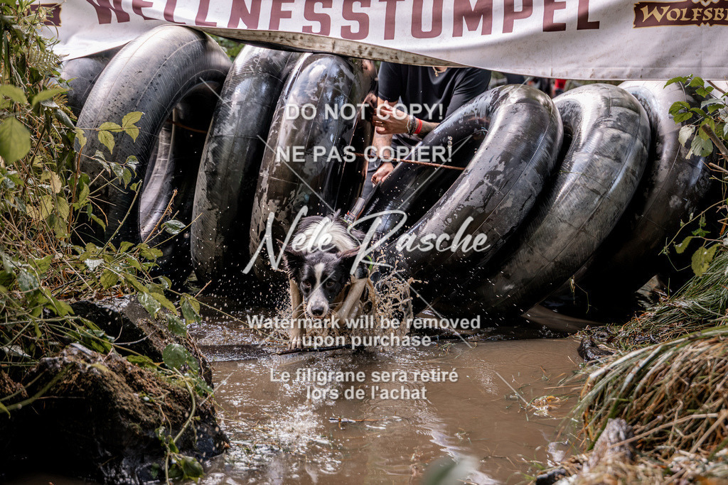 nelerasche_Hunsrück2026_Sa1400-1500_170 | nelerasche