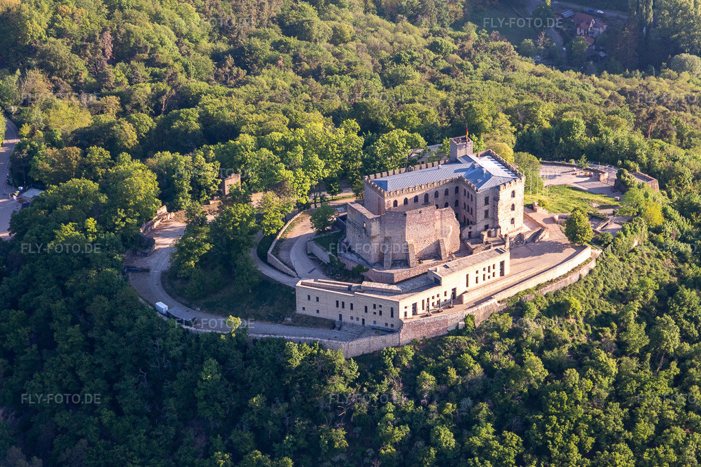 Luftbild: Hambacher Schloß im Ortsteil Diedesfeld in Neustadt im Bundesland Rheinland-Pfalz in Deutschland. Foto: IMG_120596.jpg vom 26.04.2020 durch Werner Riehm/FLY-FOTO.de