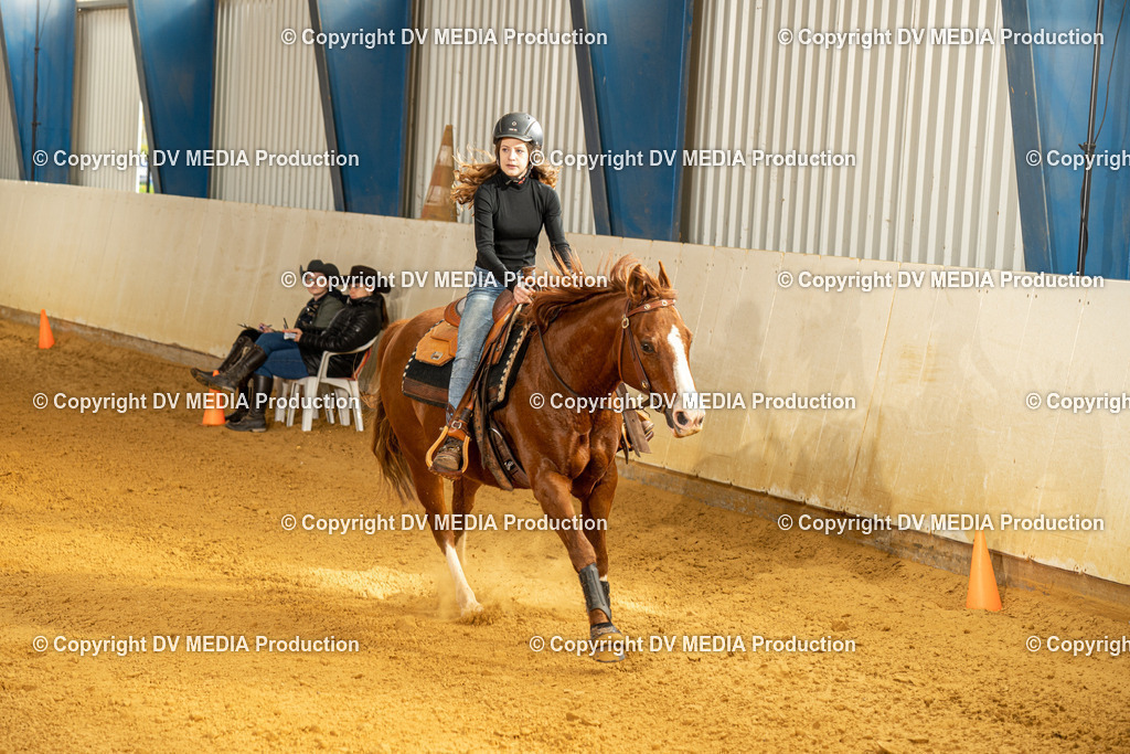 MIT00862 | dv-media-shop - Realisiert mit Pictrs.com