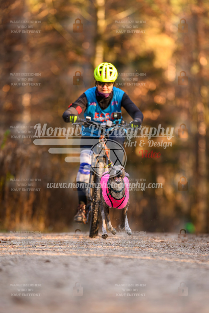 MompixPhotography_DM_AKDM_SO_2025_Bike-174 | PayLife