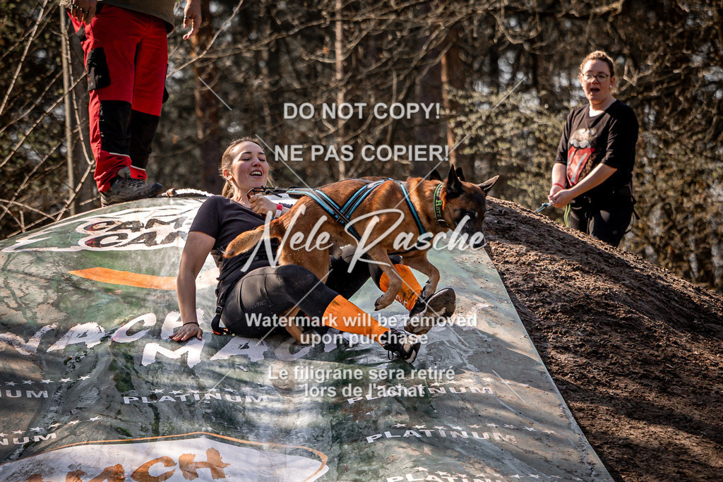 nelerasche_Hulsbeek_So1300-1330_334 | nelerasche