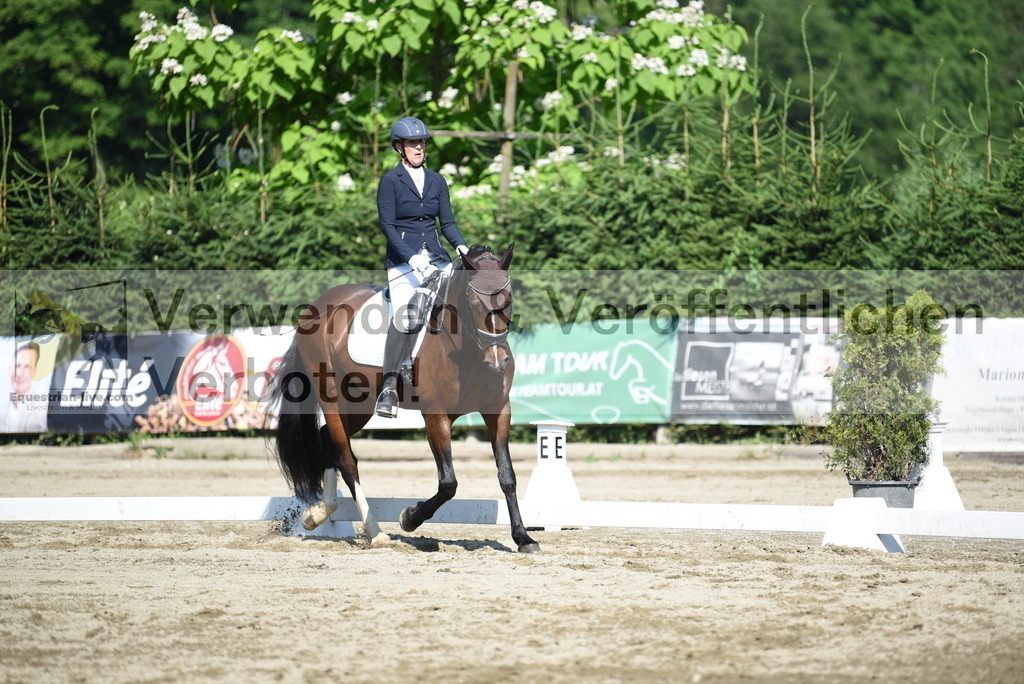 DSC_7779 | equestrian-live-com