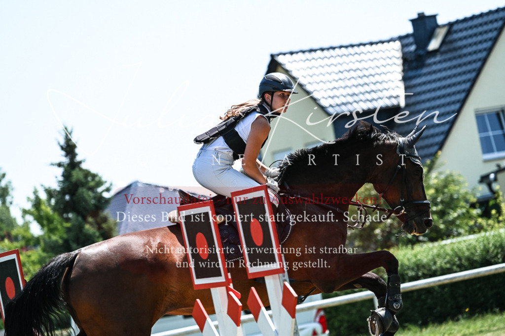 DSC_0233 | Pferde- und Turnierfotografie in Westsachsen. Pferdeportraits, Auftragszeichnungen und intuitive Kunst.