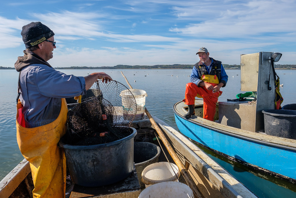 zeitenwende-farbe-03-04 | Matthias Nanz aus Schleswig ist einer der letzten Berufsfischer an der Schlei. Bei dieser Fangfahrt Ende April auf der Großen Breite der Schlei begegnete er seinem Kollegen Jörn Ross, dem Ältermann der Holmer Fischerzunft. - Realisiert mit Pictrs.com