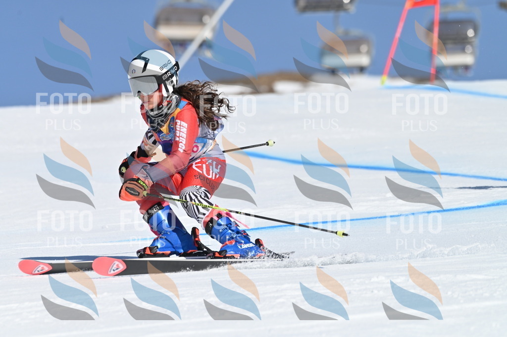 BGV_7878 | holidayphoto