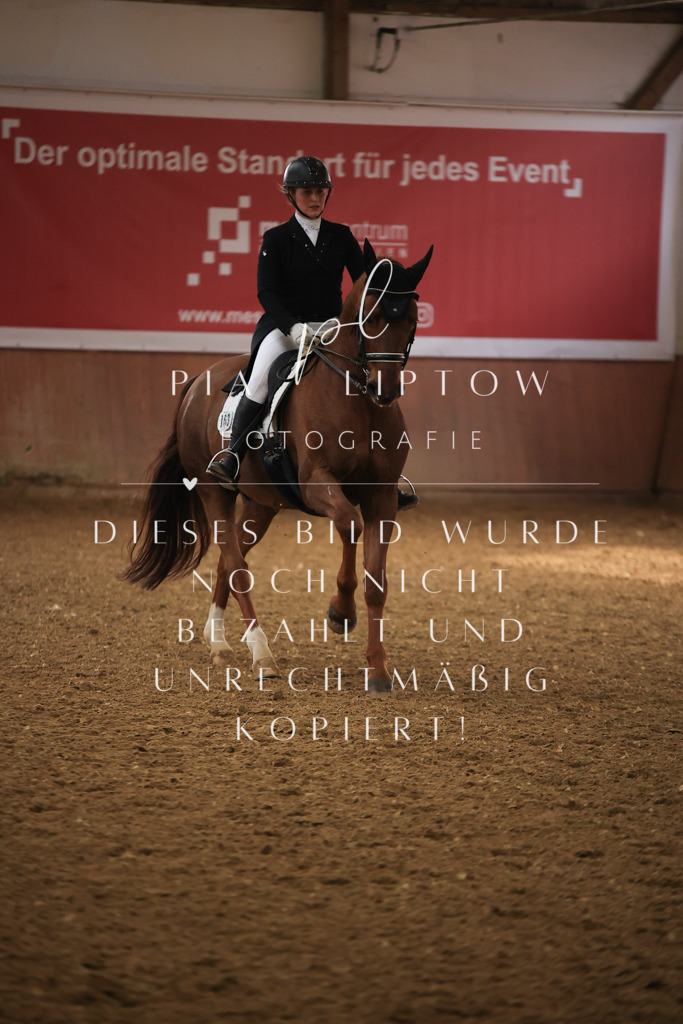 IMGT5042 | pl-fotografie