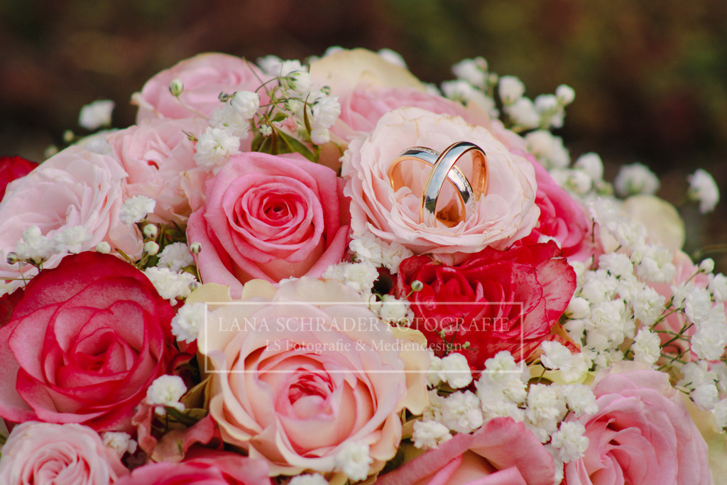 Hochzeit Danica _ Jan 26.08.22-49 | lanaschraderfotografie - Realisiert mit Pictrs.com