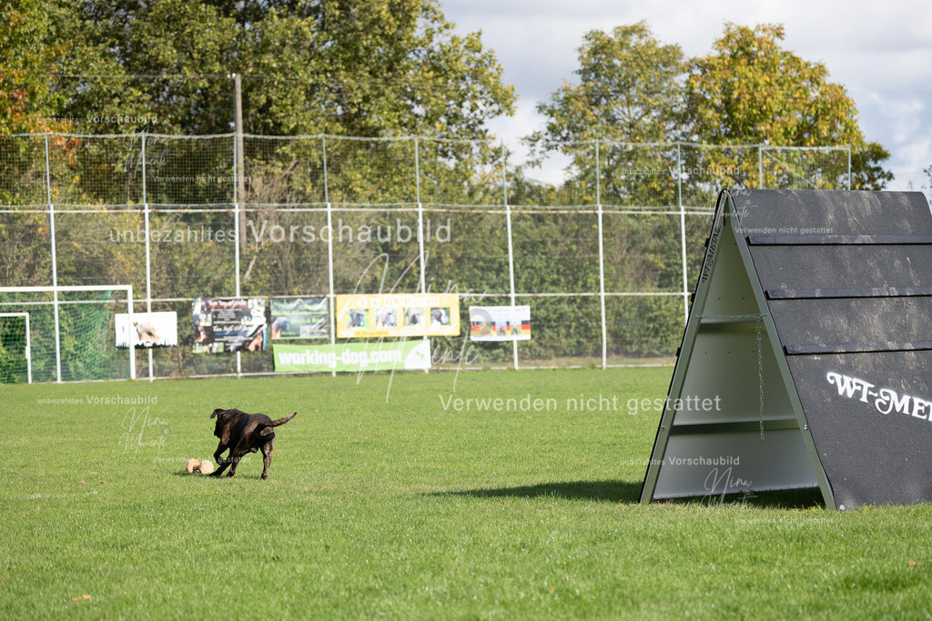 _16A6858 | Einzigartige Fotos von Hunden & Menschen –Actionfotos, Portraits, Vereinsaufnahmen & Paarshootings – authentisch, lebendig & mit Herz.