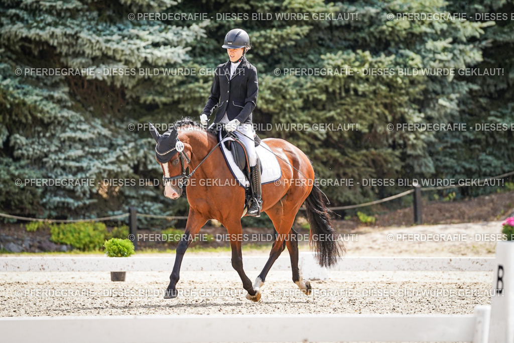 DSC08793 | Pferdegrafie