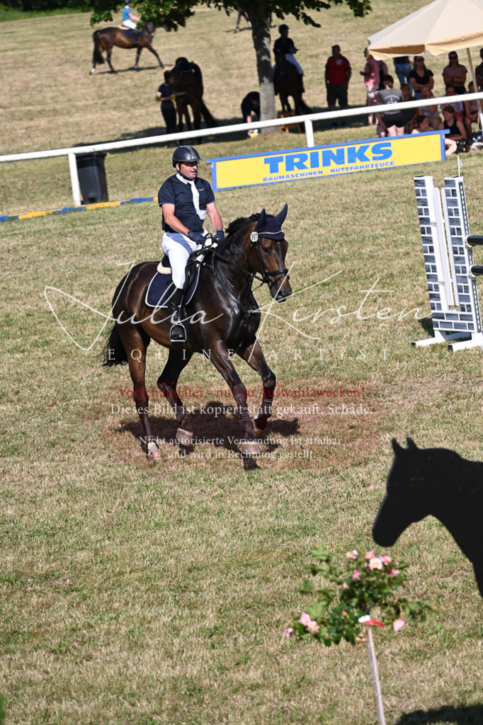 DSC_2156 | Pferde- und Turnierfotografie in Westsachsen. Pferdeportraits, Auftragszeichnungen und intuitive Kunst.