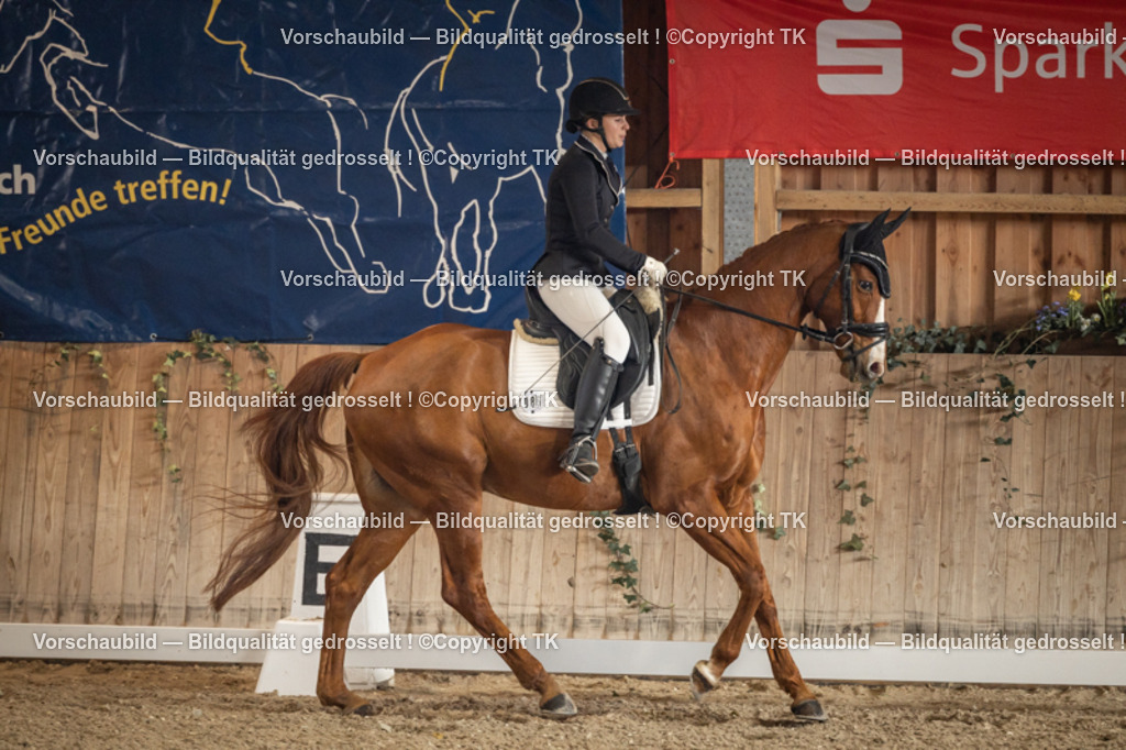 _D5A1118 | Emotionale Pferde- & People-Fotografie rund um Heidelberg, Leimen & Umgebung. Natürliche Fotos von Pferd, Mensch & Familie. Jetzt Termin sichern!