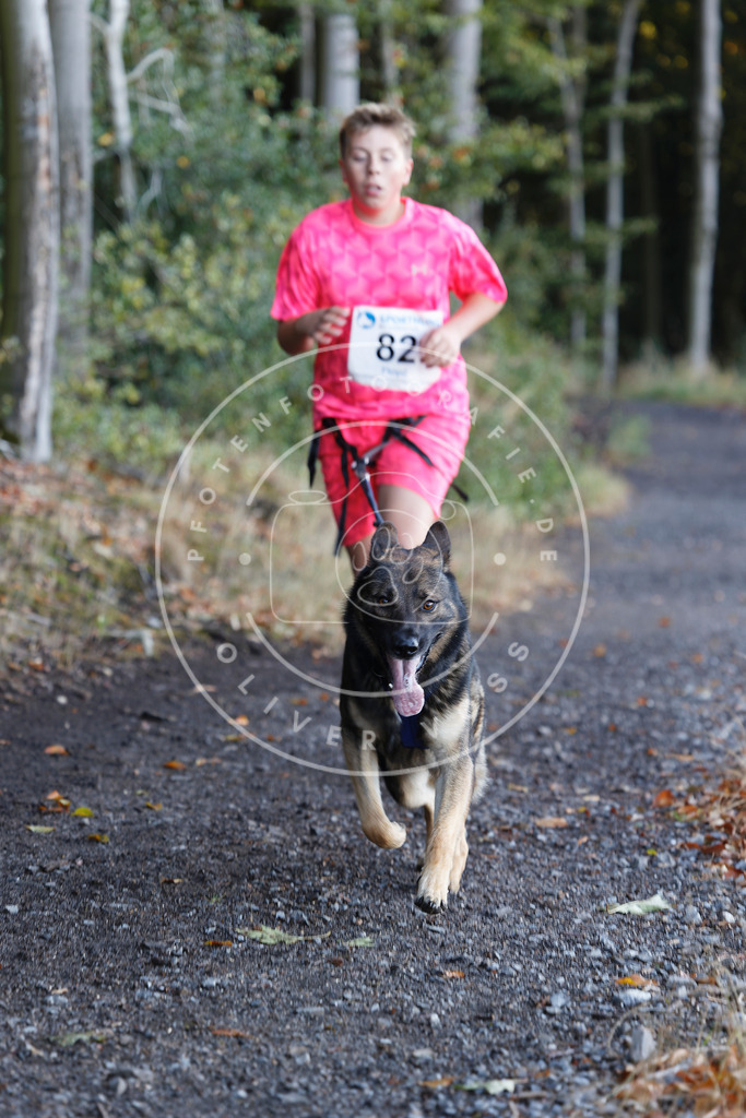 0L8A2101 | Hundefotografie, Tierfotograf, Pfotenfotografie, Fotoshooting Hund, Hunde Portrait, Hundesport, Hundeportraits, Heideshooting, Hunde, Sportfotograf, Hundefotograf, Turnierhundsport, THS,  - Realisiert mit Pictrs.com