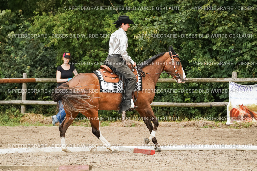 DSC08505 | Pferdegrafie