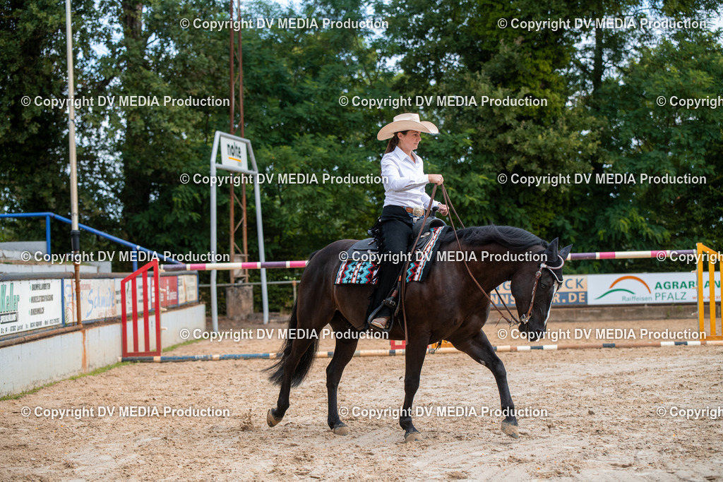 ZS3_9212 | dv-media-shop - Realisiert mit Pictrs.com