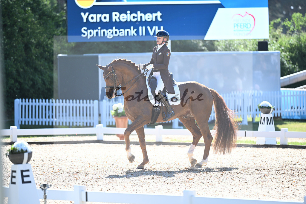 Reichert_Springbank II VH_11253837 | hf-fotografie - Realisiert mit Pictrs.com