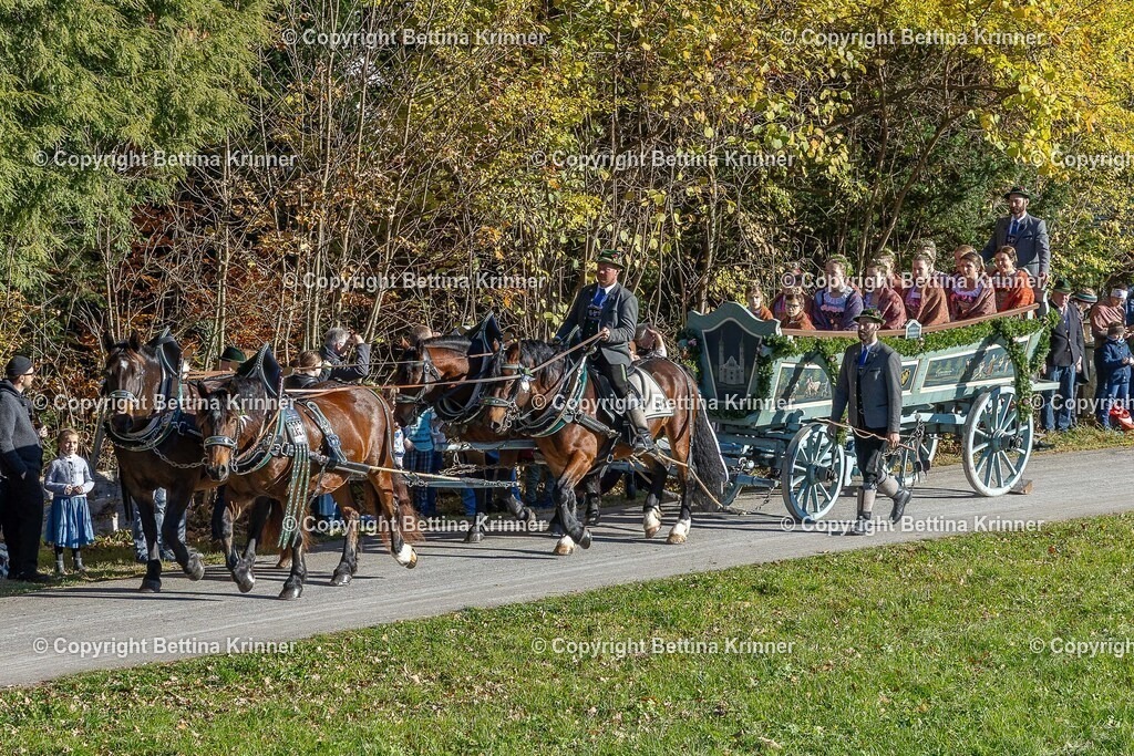 LBT25-311 | foto-bettina-krinner - Realisiert mit Pictrs.com