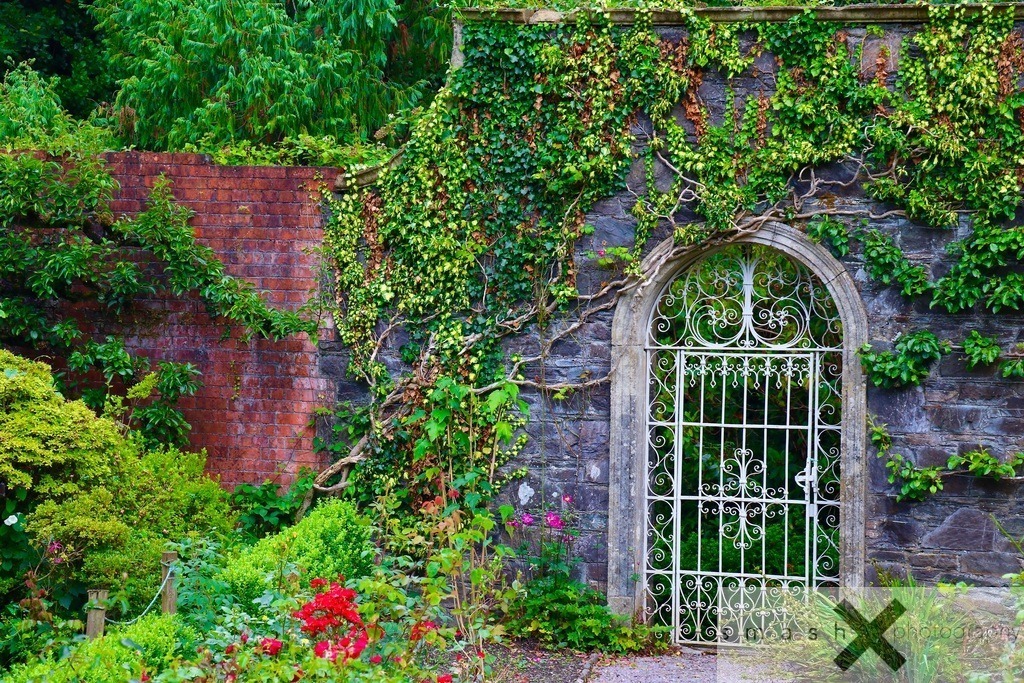Secret Garden 02 | Garinish Island, Glengarriff  (Irland/Ireland)