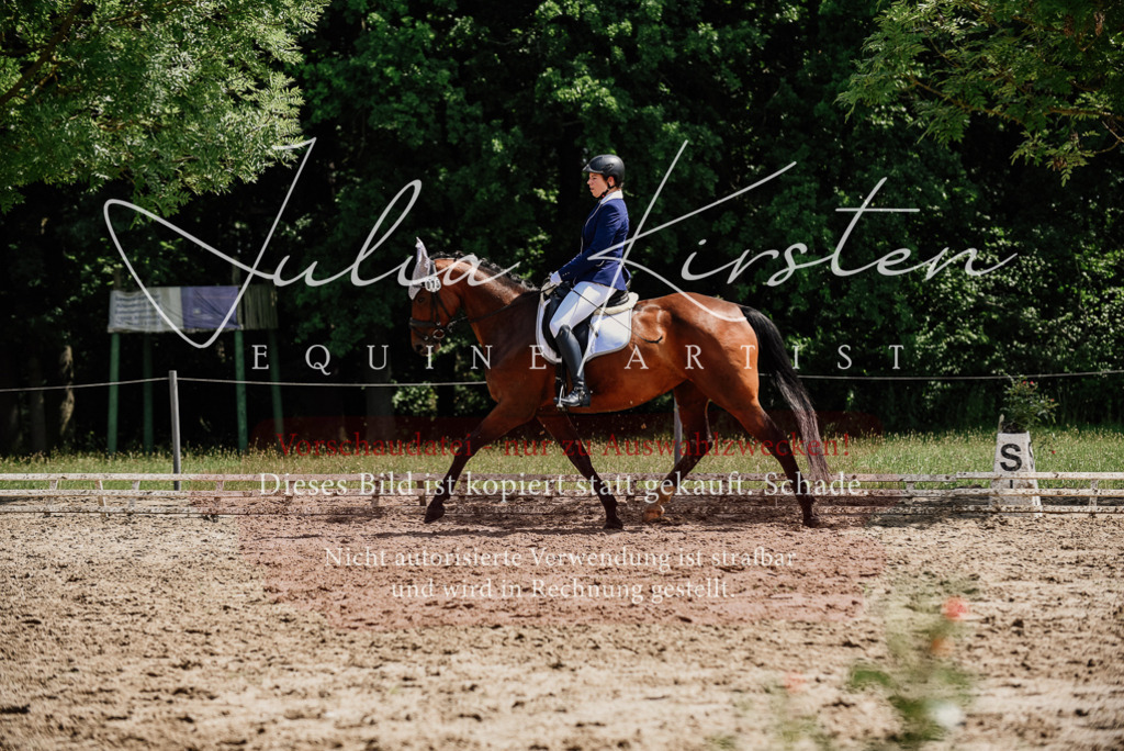 DSC_1228 | Pferde- und Turnierfotografie in Westsachsen. Pferdeportraits, Auftragszeichnungen und intuitive Kunst.