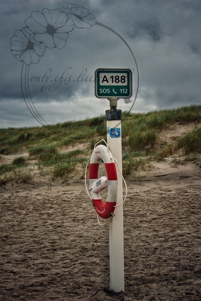 IMG_8707-01 | only.this.little.world - Realisiert mit Pictrs.com