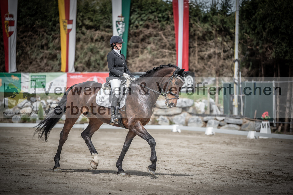 DSC_2277 | equestrian-live-com