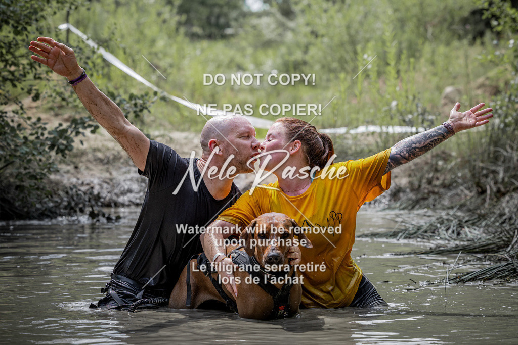 nelerasche_so1145-1230_116 | nelerasche