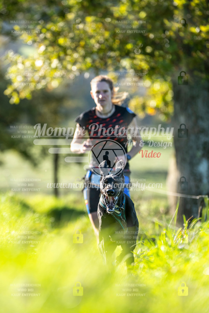 MompixPhotography_20TSB_E3_Run-183 | PayLife