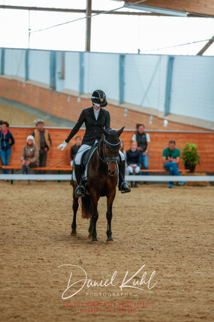 _62_5717 | Turniersportfotografie; Pferdefotografie; Dressurfotografie