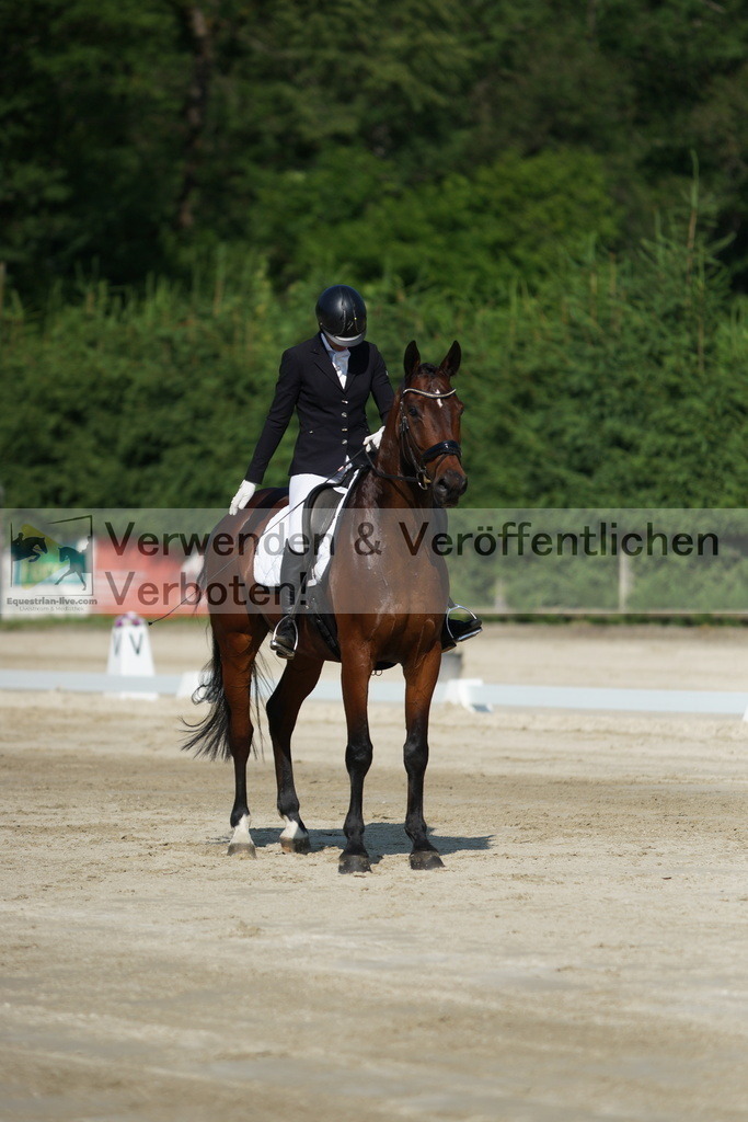 DSC01330 | equestrian-live-com
