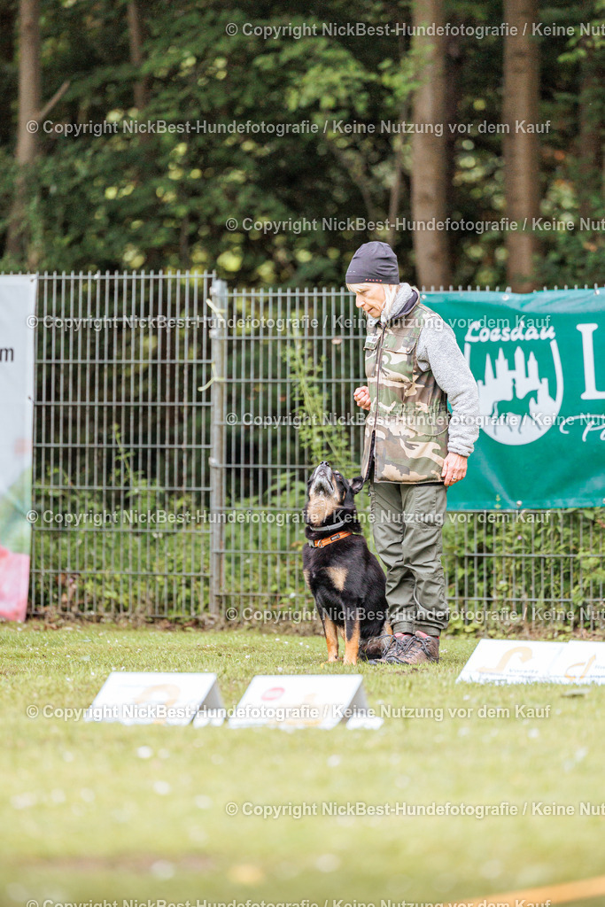 RO-Blumenthal-2026-Nickbest-Hundefotografie-3992 | Dein Hund! Dein Moment! Deine Erinnerungen! Hundefotografie in Bremen Blumenthal. Ich fange die besonderen Momente deines Vierbeiners ein – ob Indoor mit Blitzanlage oder in der freien Natur. Sicher dir dein Moment und dein Termin für eure Erinnerungen.