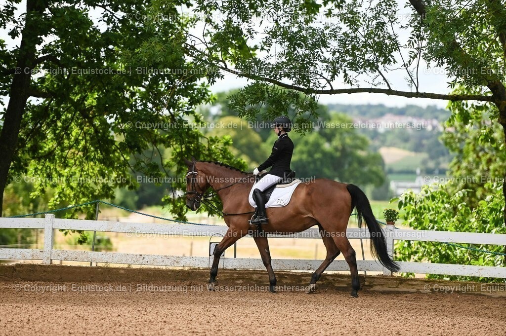 20230716_10-1_Reiter-WB Schritt - Trab - Galopp_0042 | equistock