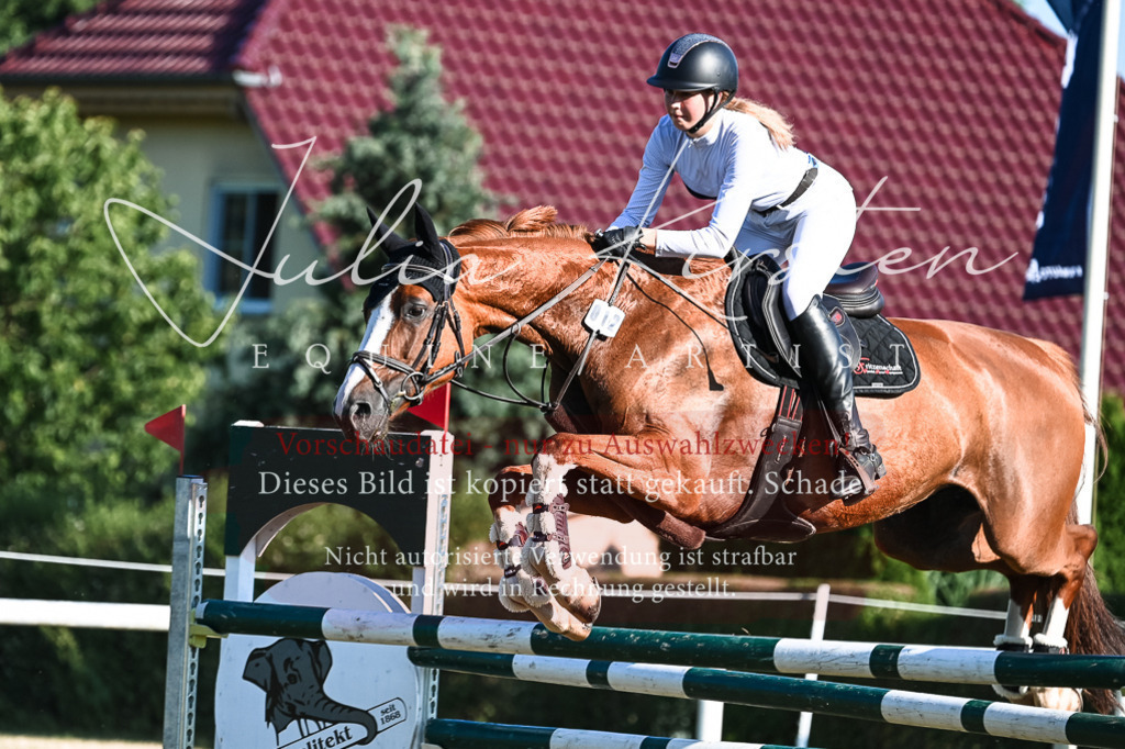 DSC_2766 | Pferde- und Turnierfotografie in Westsachsen. Pferdeportraits, Auftragszeichnungen und intuitive Kunst.