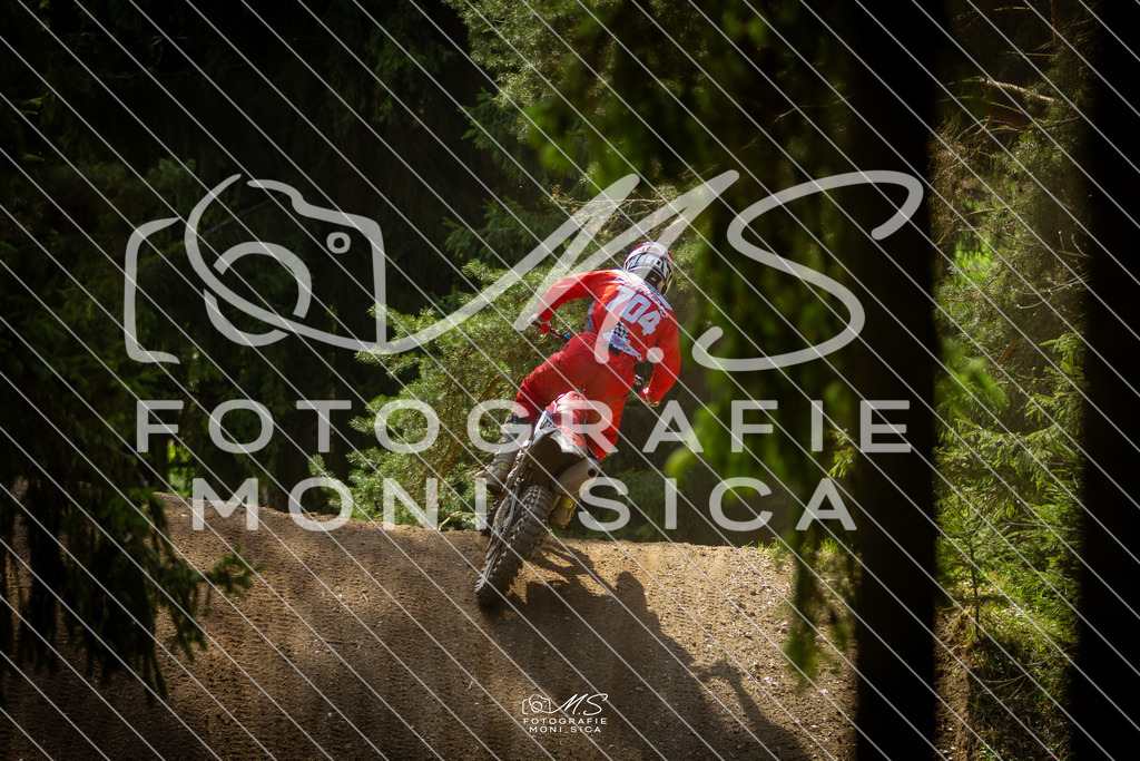 20260418-162A2270 | moni.sica.fotografie - Realisiert mit Pictrs.com